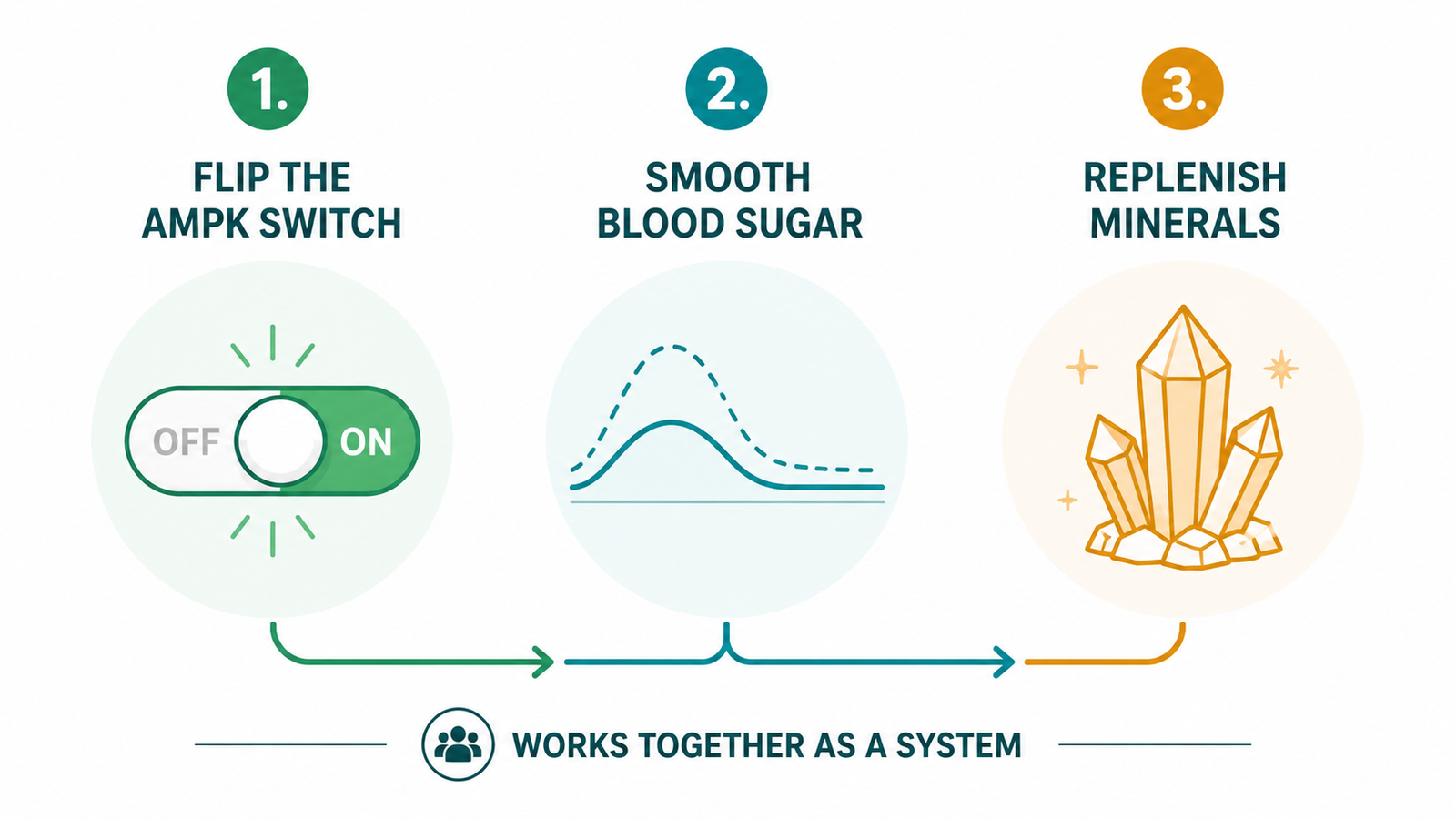 Triple-Action Metabolic Reset