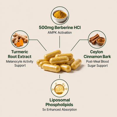 Berberine Capsules (1000mg)